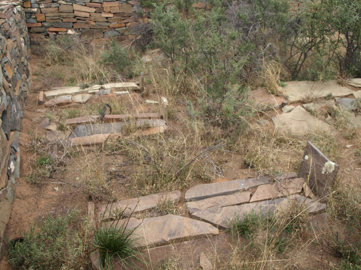 2. Overview