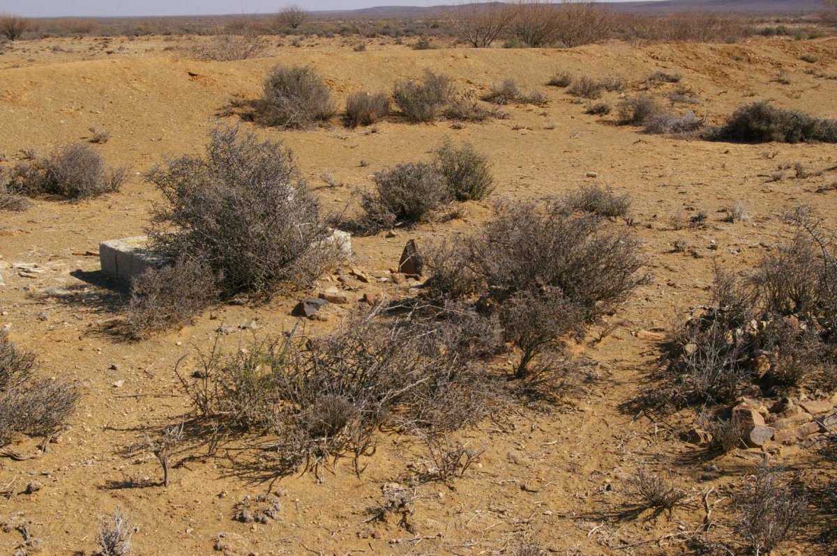 2. Oorsig / Overview