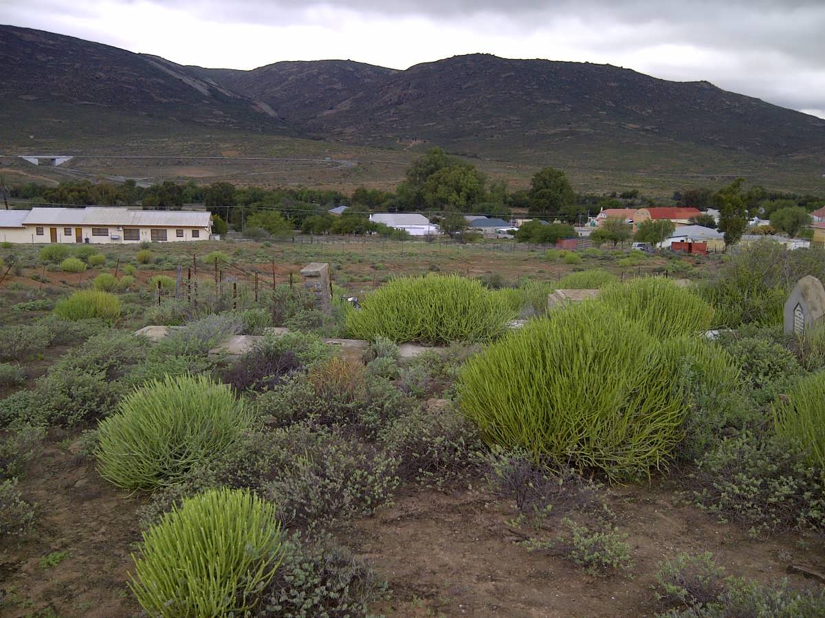 1. Overview