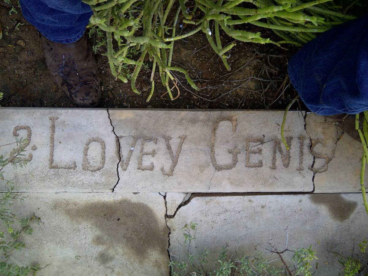 GENIS Lovey