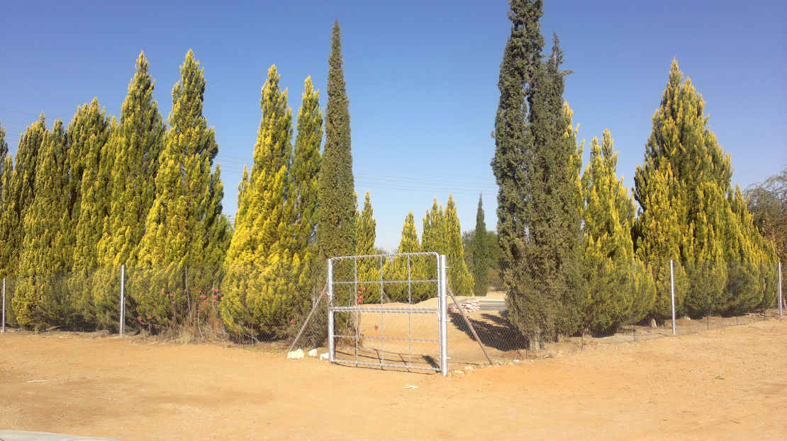 1. Overview