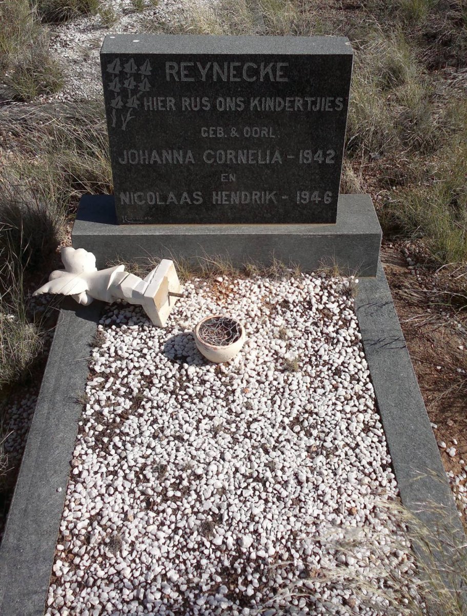 REYNECKE Johanna Cornelia 1942-1942 :: REYNECKE Nicolaas Hendrik 1946-1946