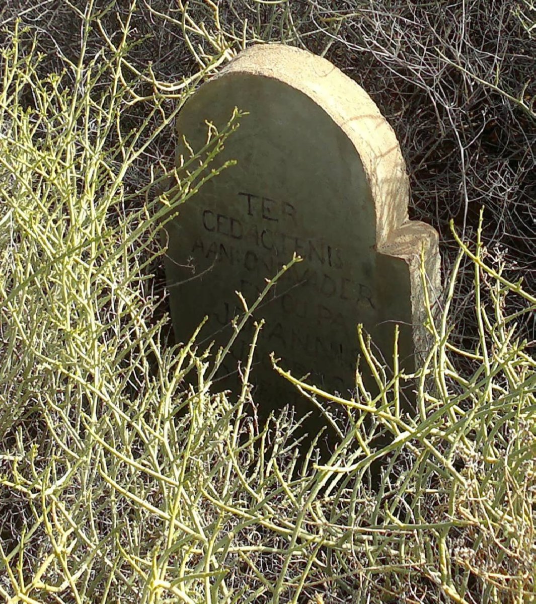 ? Johannes Jacobus