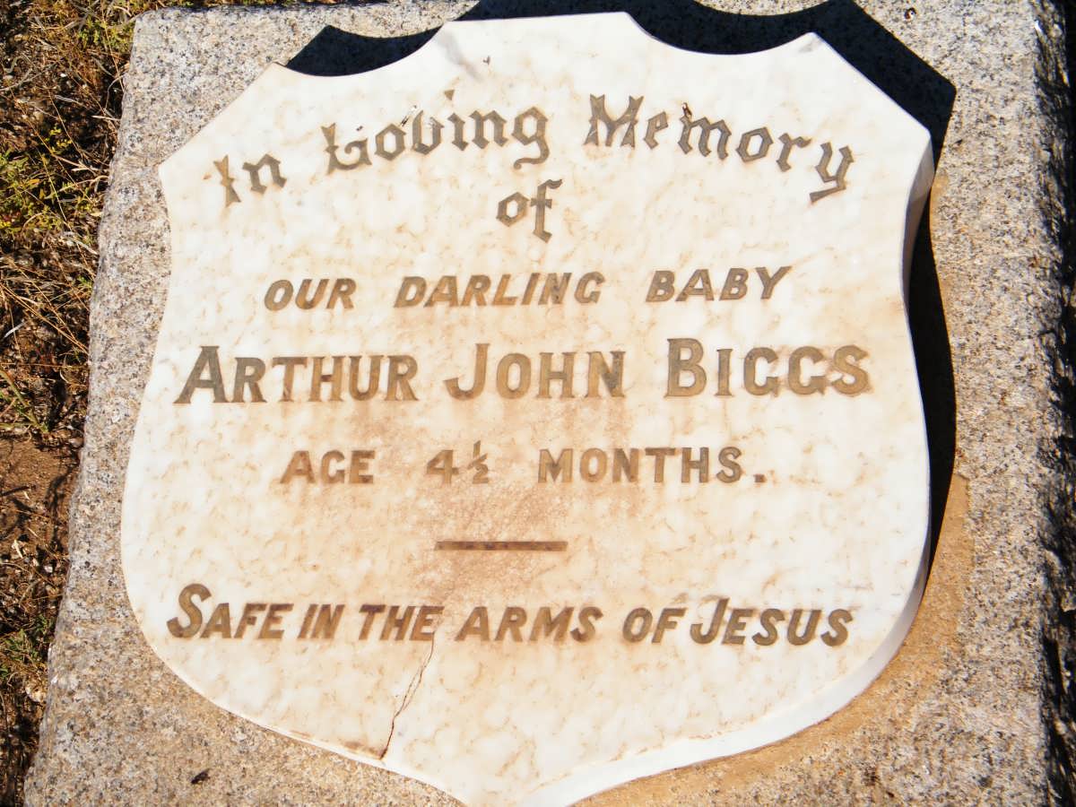 BIGGS Arthur John