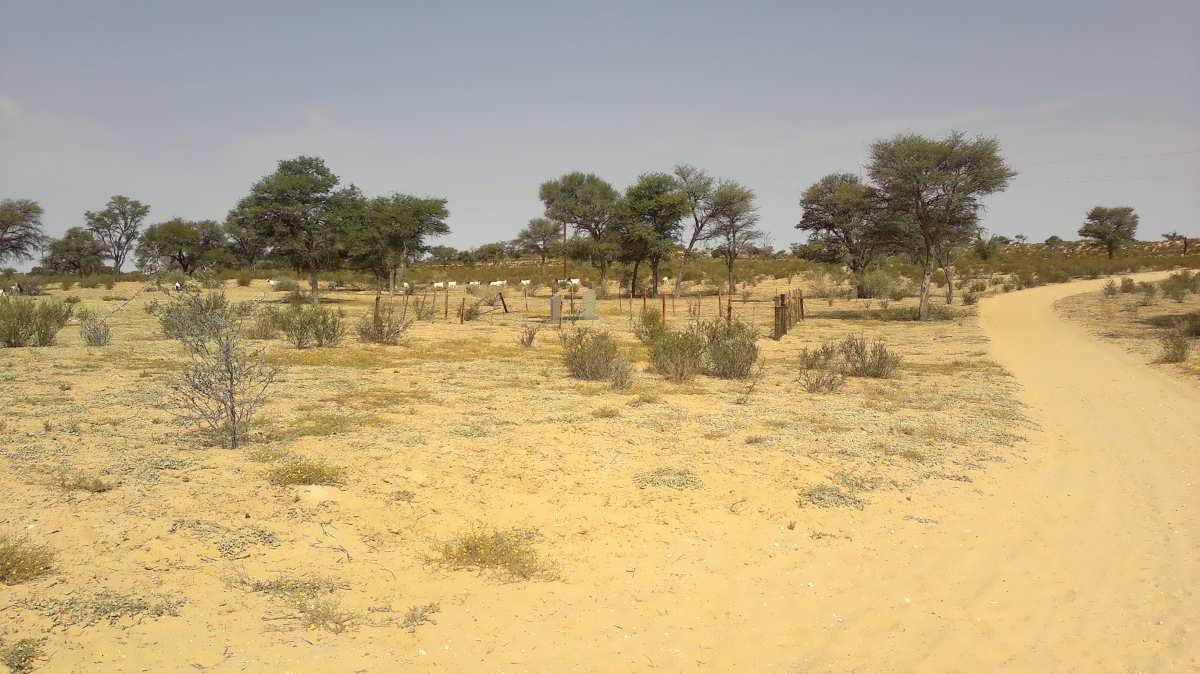 2. Overview