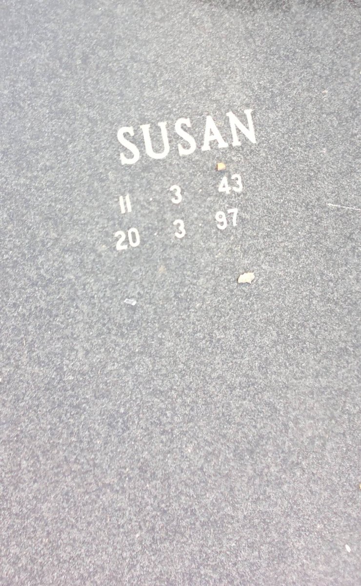 ROSSOUW Susan 1943-1997