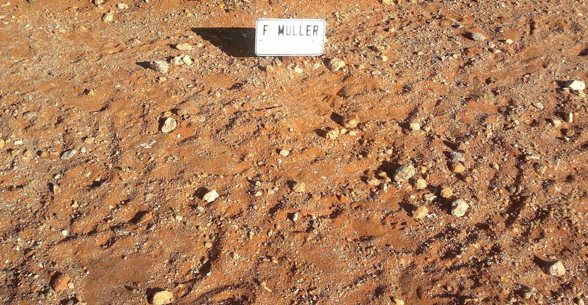MULLER F. 