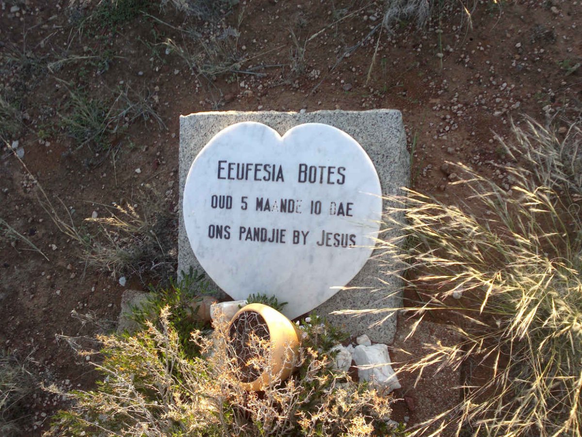 BOTES Eeufesia