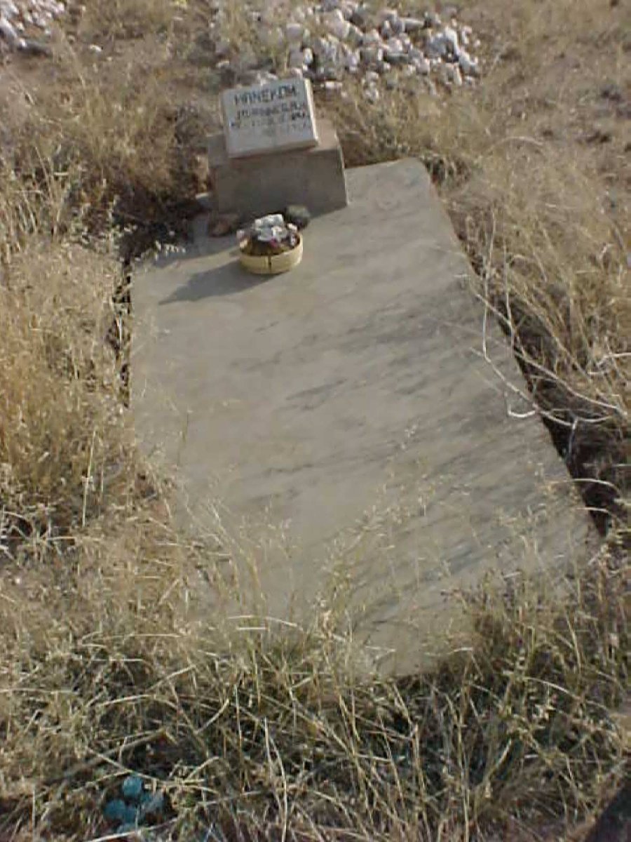 HANEKOM Johannes A.H. 1894-1963