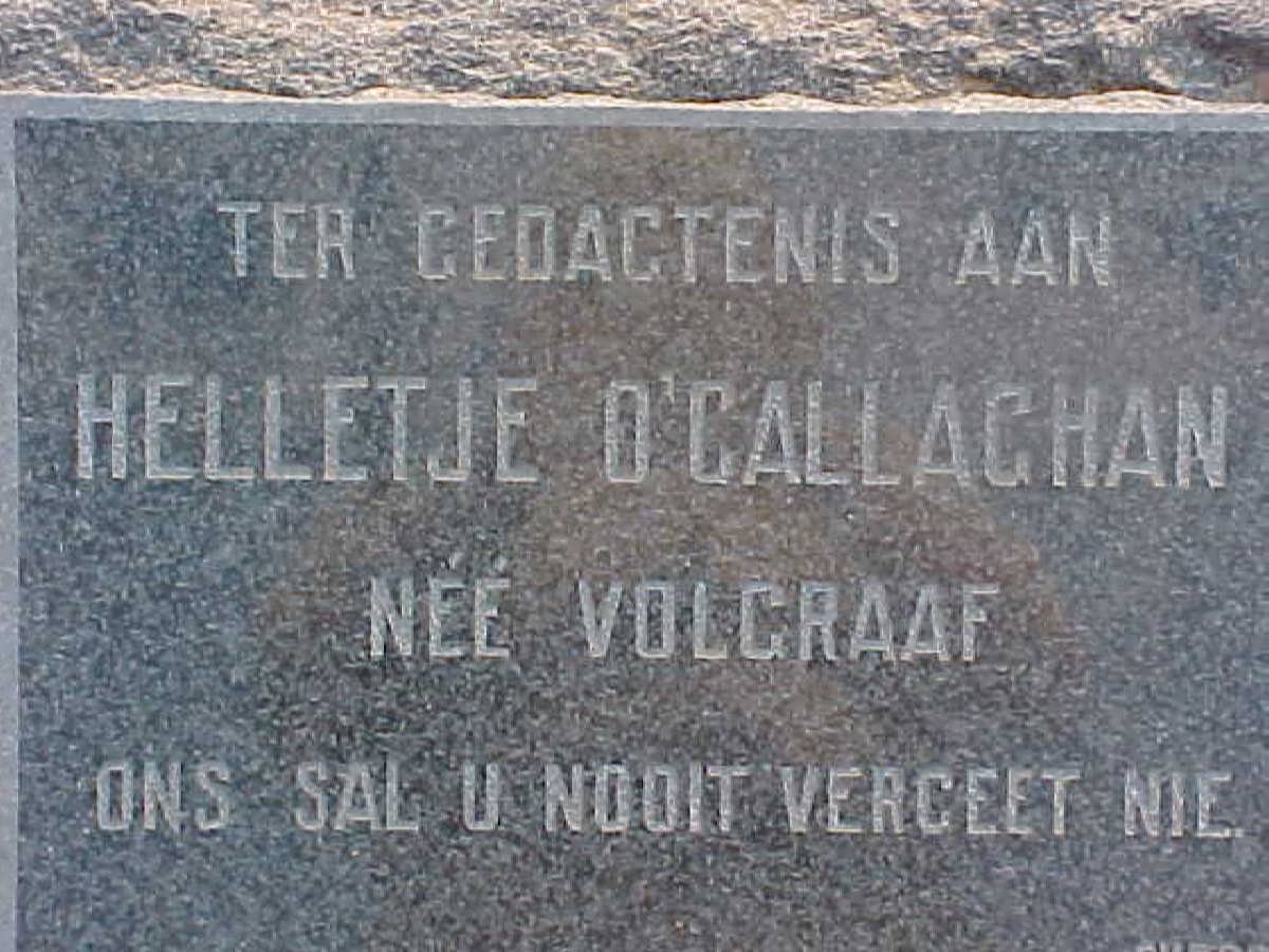 O’CALLAGHAN Helletje nee VOLGRAAF