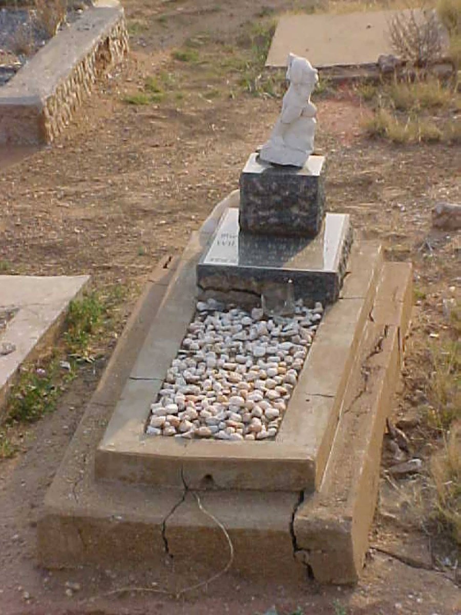 WILLEMSE Wilma 1962-1962