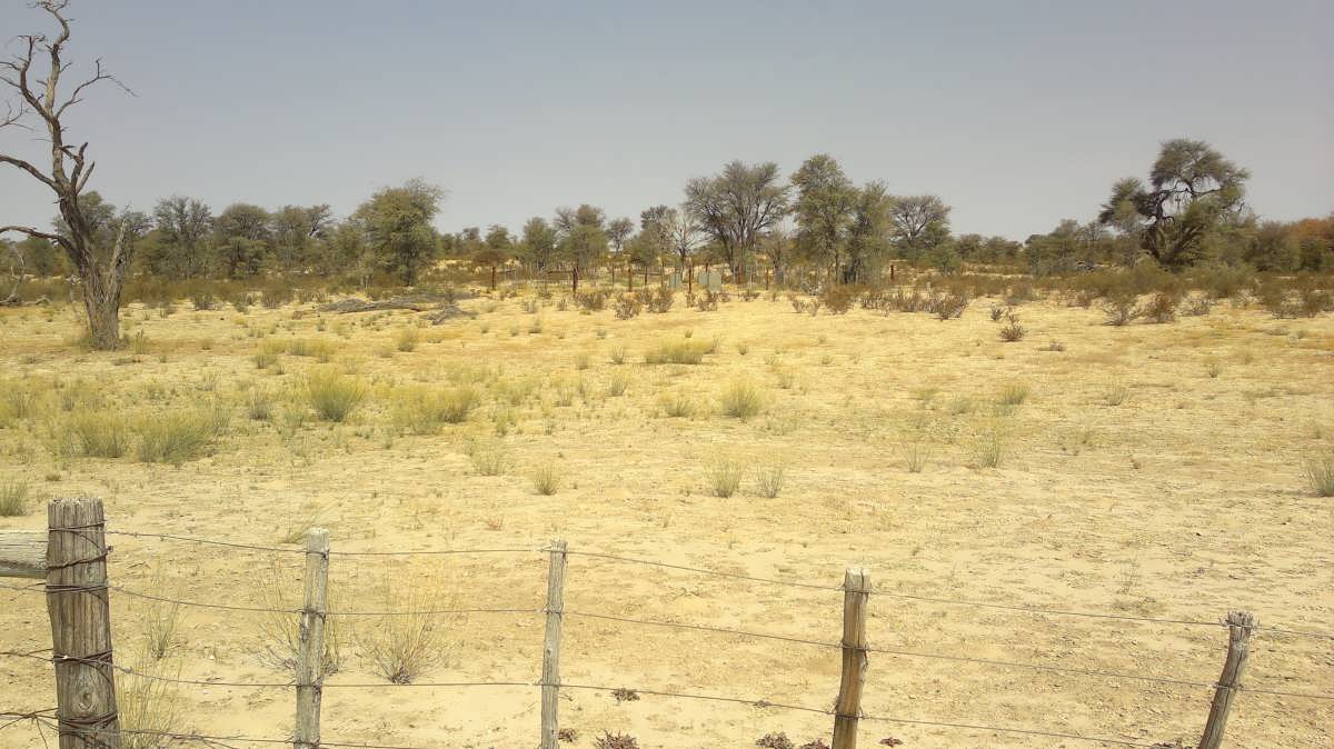 2. Overview