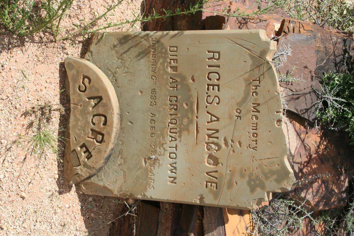 ANGOVE Rice A. -1883