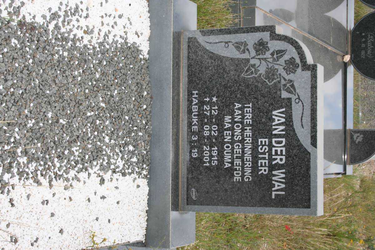 WAL Ester, van der 1915-2001