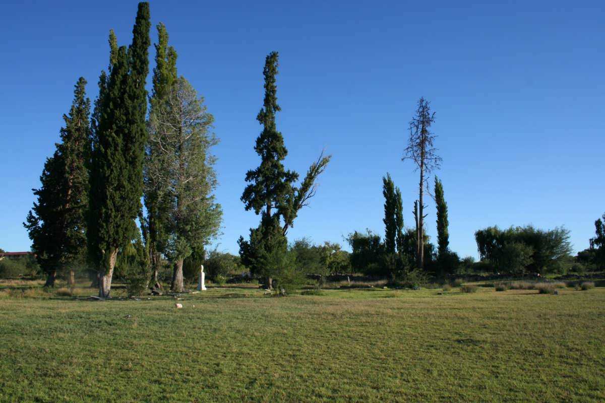 5. Overview