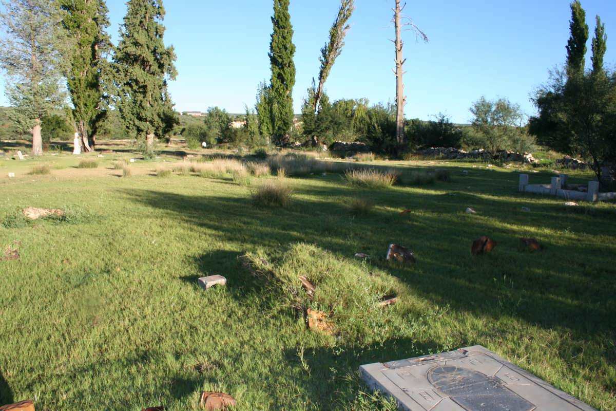 4. Overview