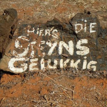 STEYN