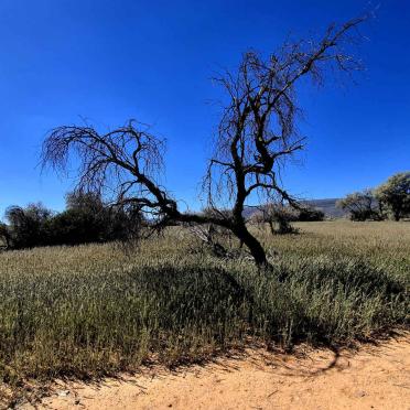 Northern Cape, HAY district, Rural (farm cemeteries)