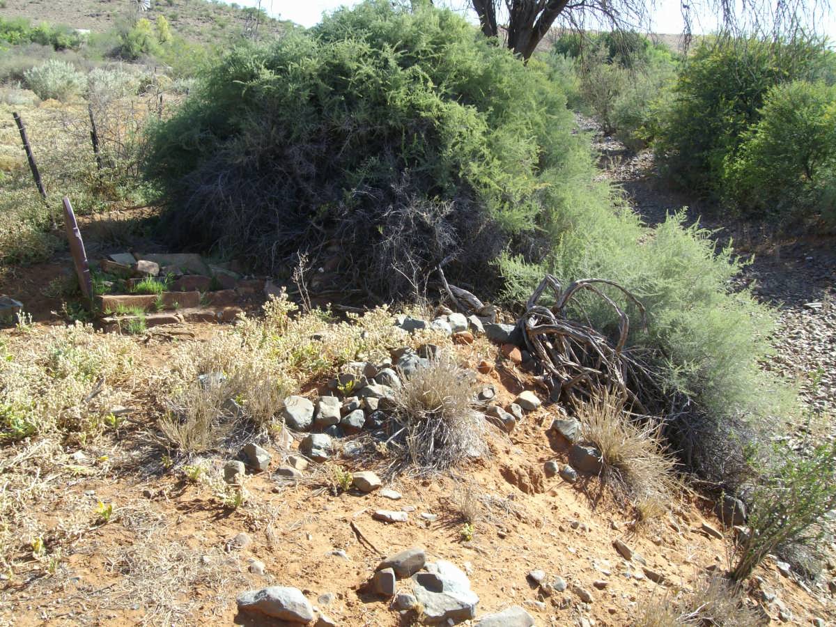 2. Overview