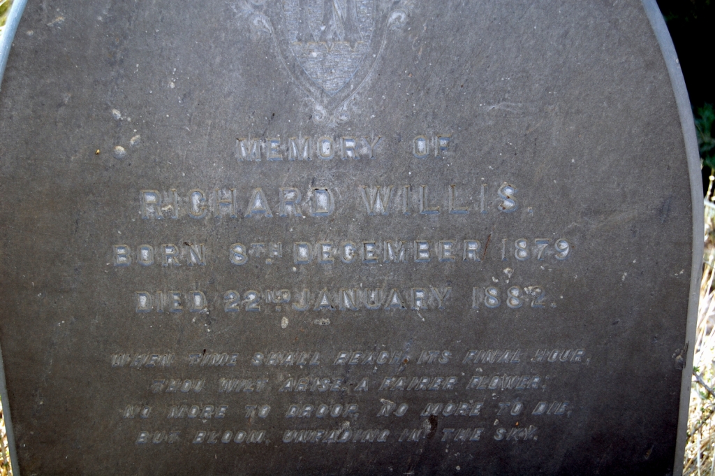 WILLIS Richard 1879-1882