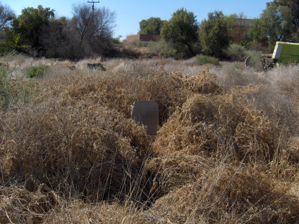 2. Overview