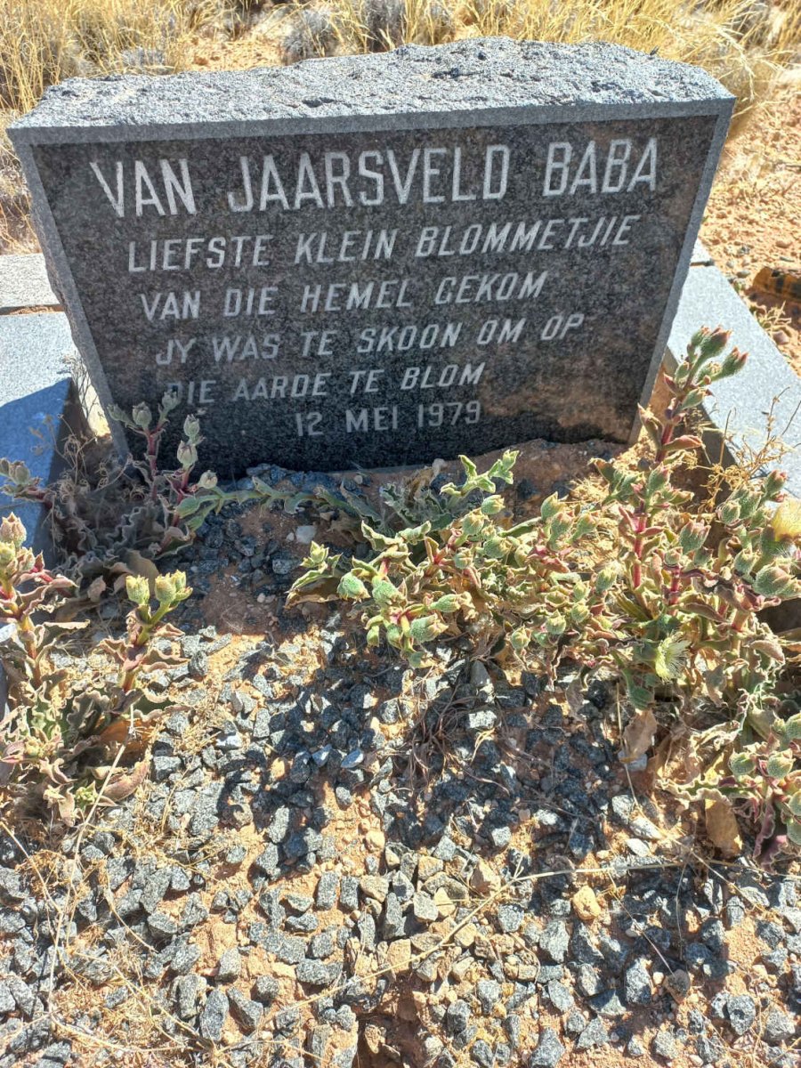 JAARSVELD, van 1979-1979