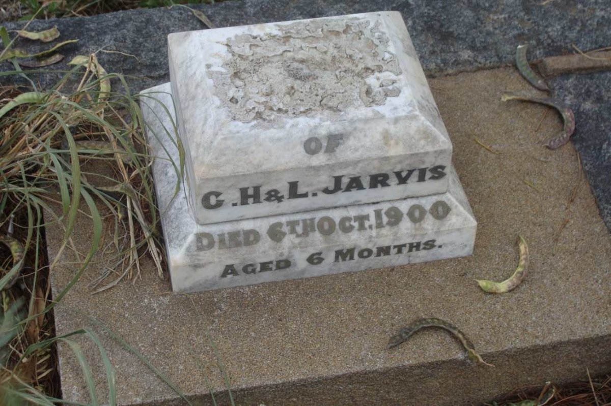 JARVIS -1900