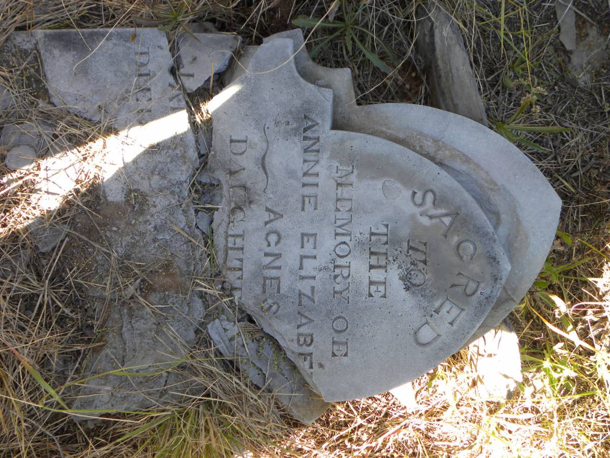 ? Annie Elizabeth Agnes