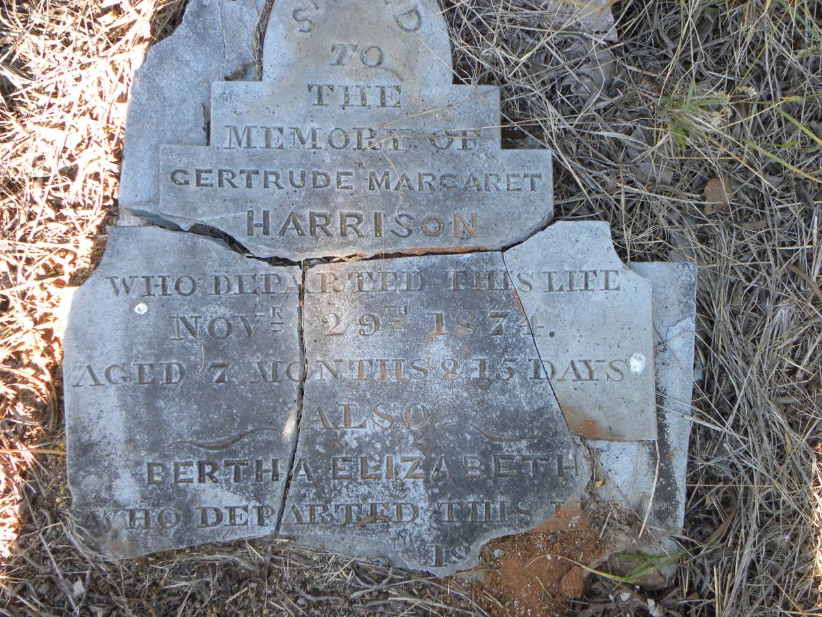 HARRISON Gertrude Margaret -1874 :: HARRISON Bertha Elizabeth ?