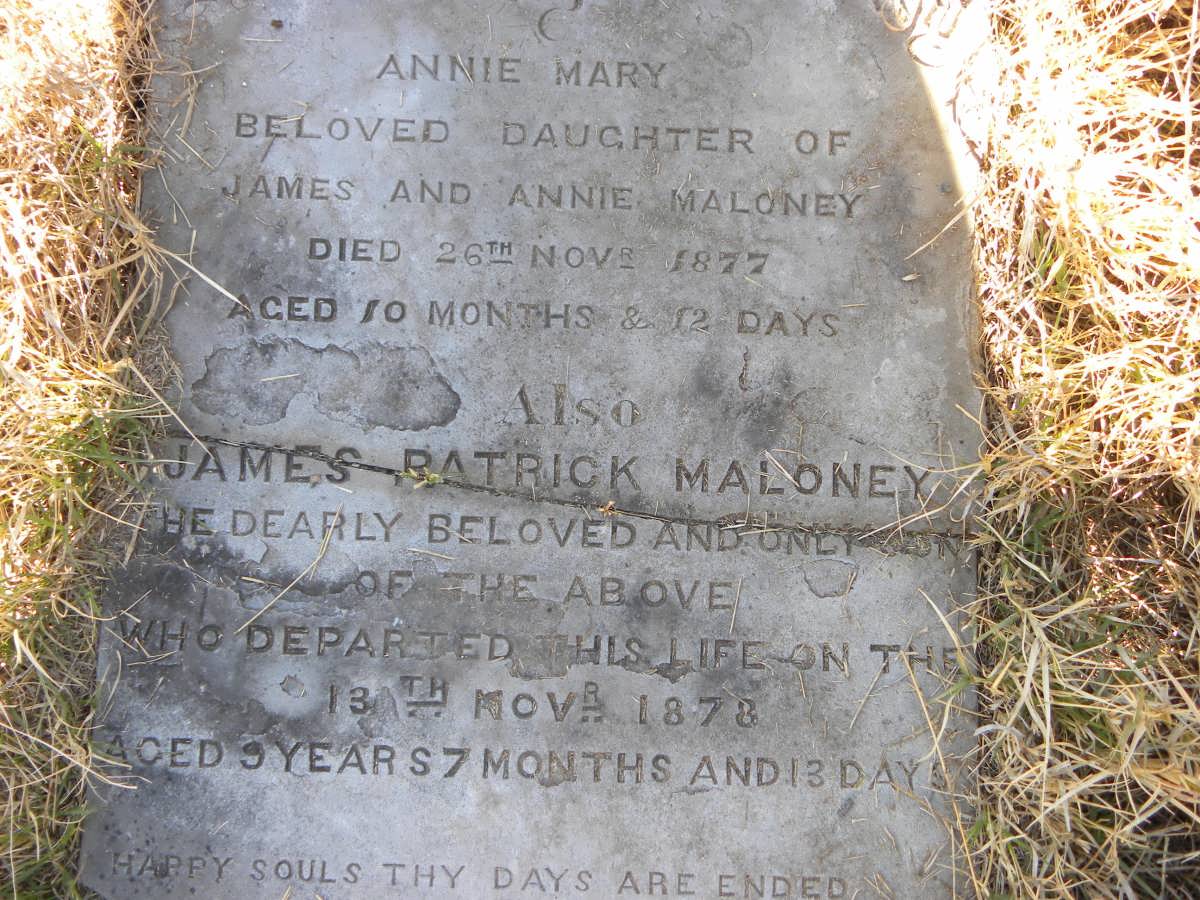 MALONEY Annie Mary -1877 :: MALONEY James Patrick -1878