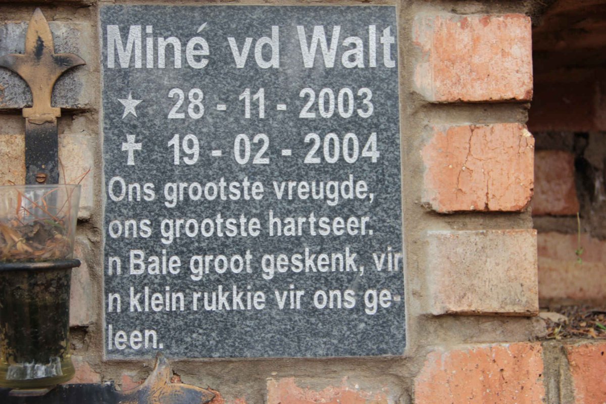 WALT Mine, v.d. 2003-2004