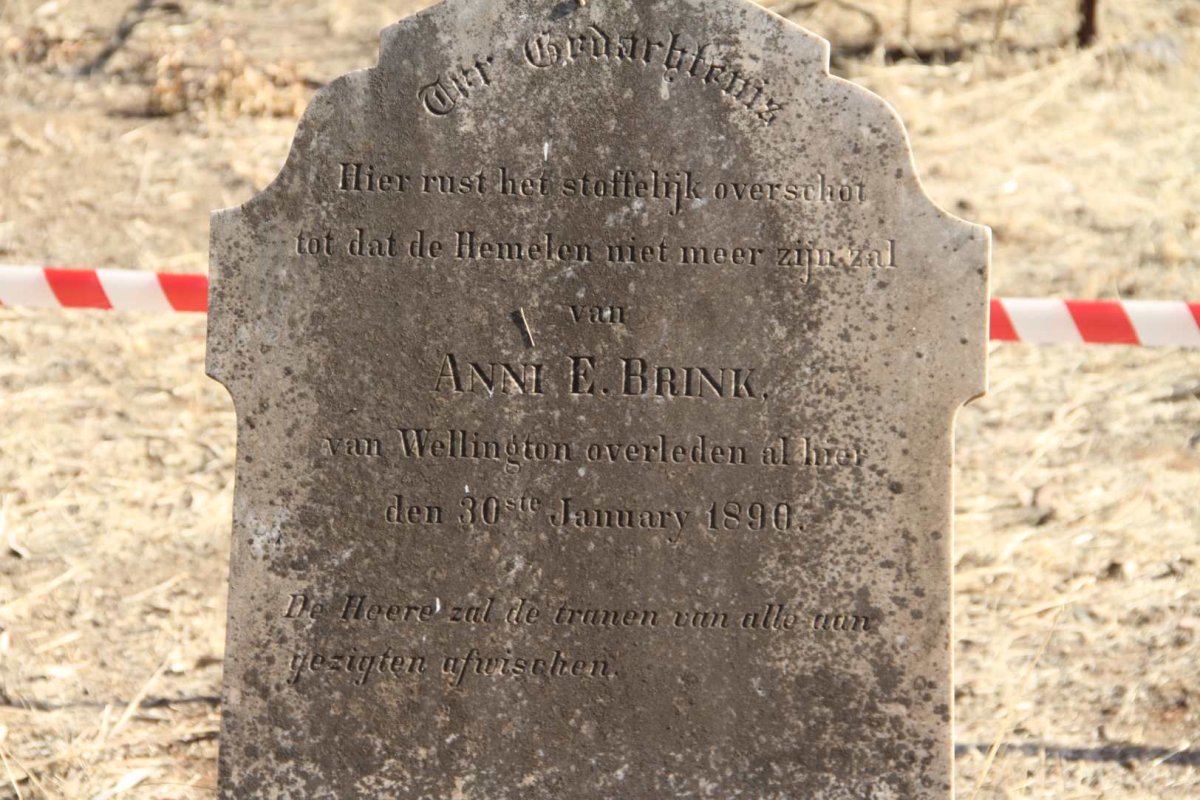 BRINK Anni E. -1890