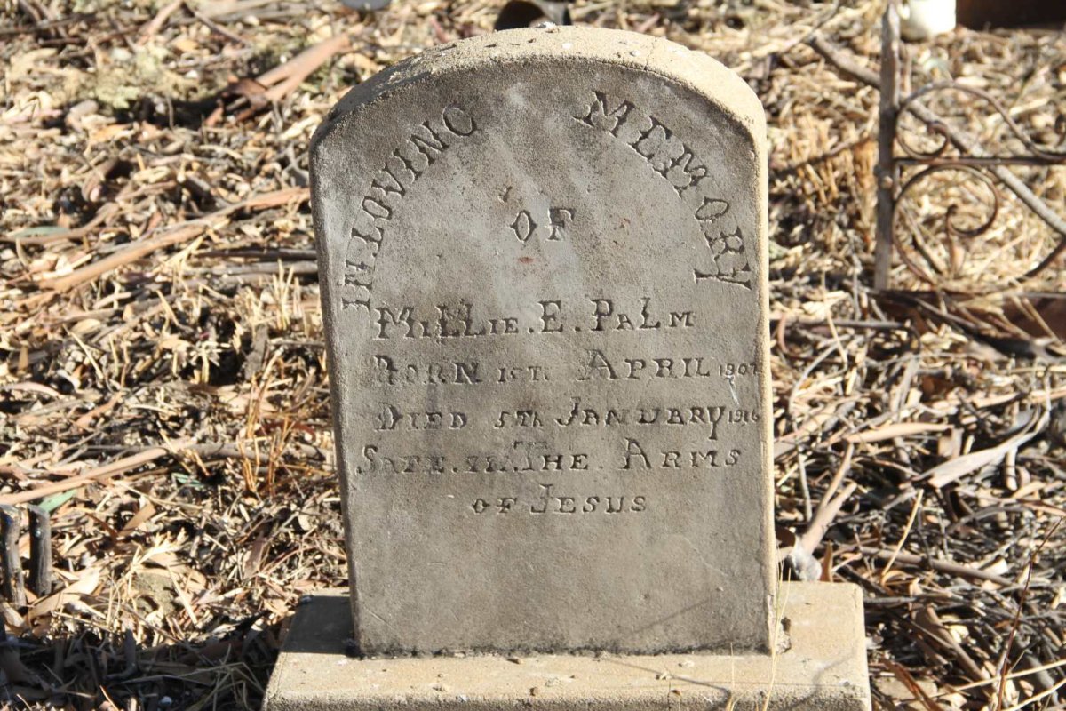 PALM Millie E. 1907-1916