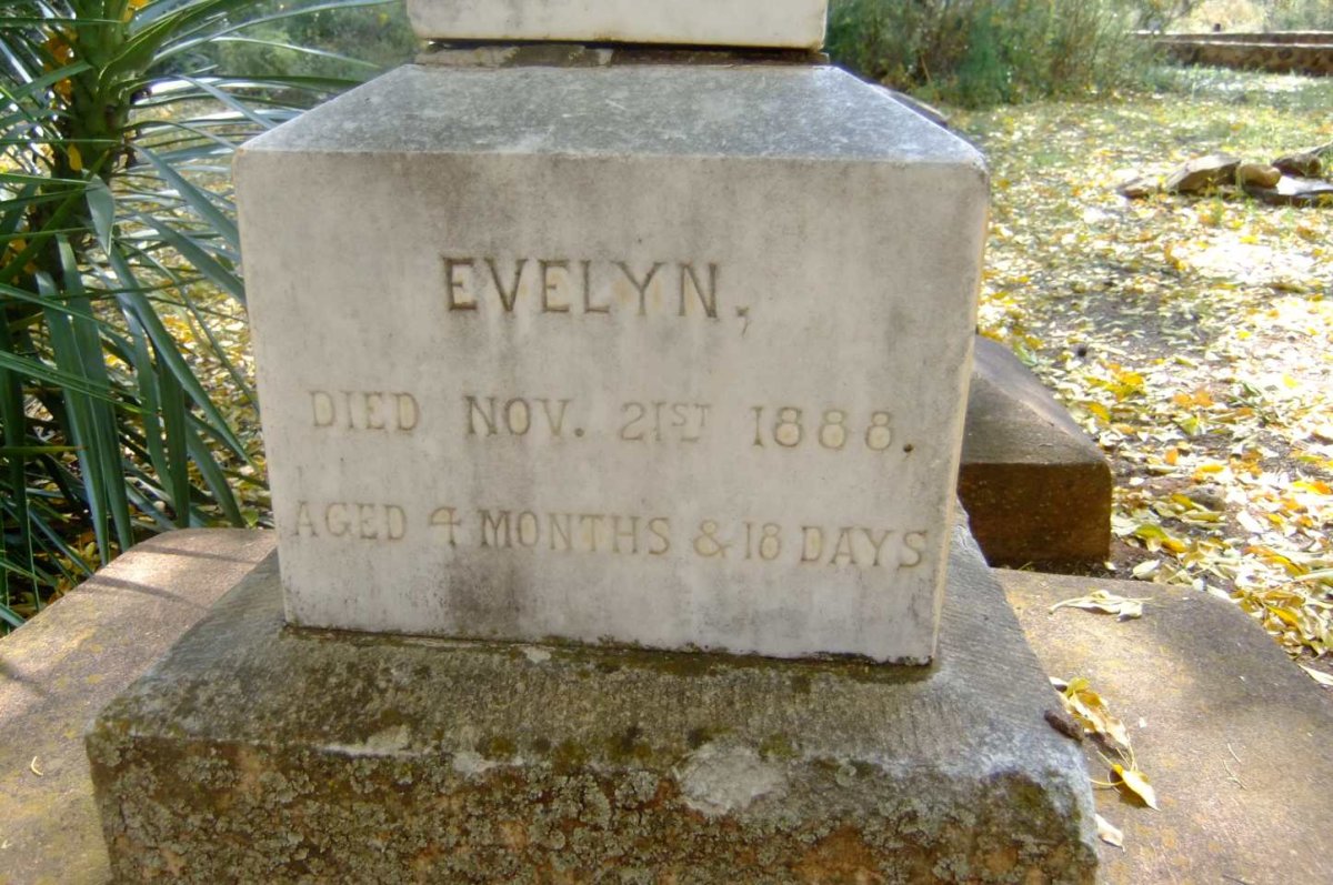 ? Evelyn -1888