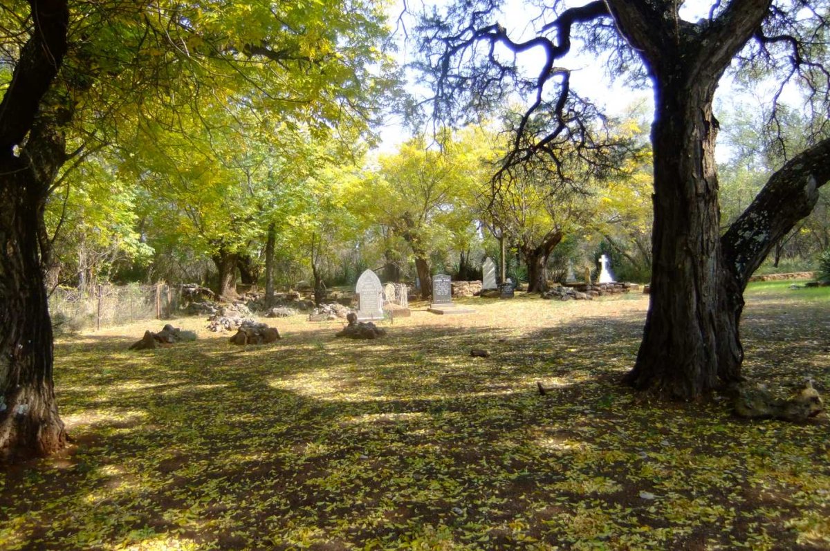 08. Overview