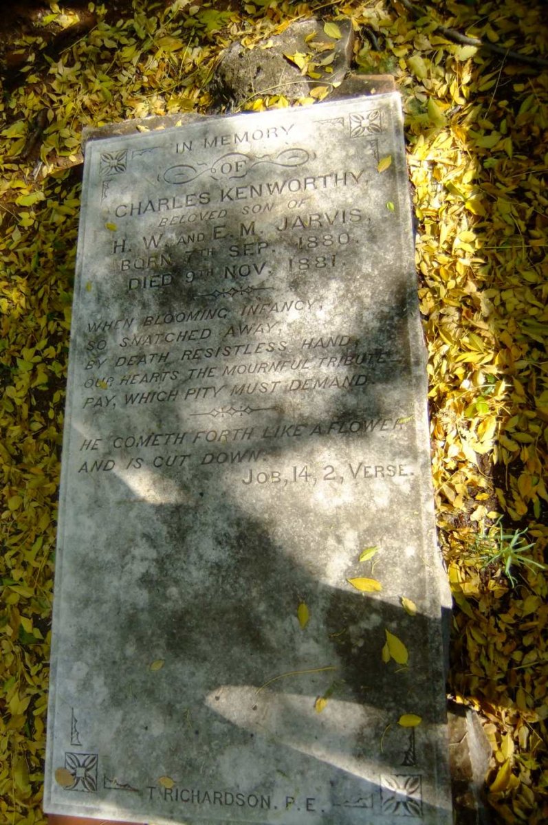 JARVIS Charles Kenworthy 1880-1881