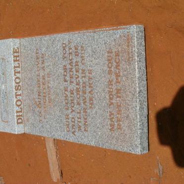DILOTSOTLHE