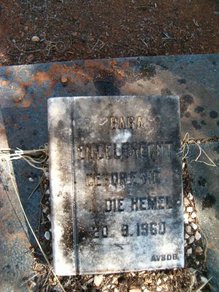 ENGELBRECHT Baba 1960-1960