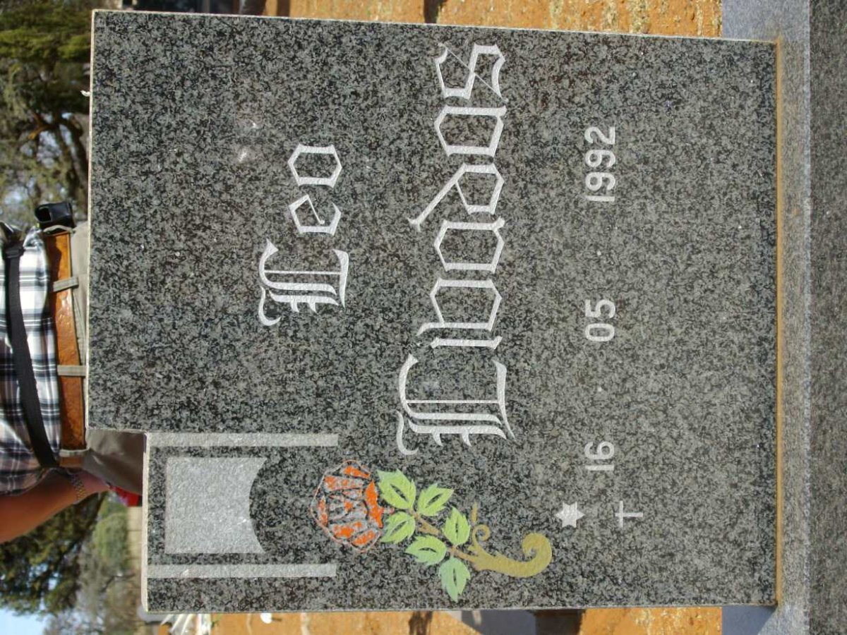 LIBADAS Leo 1992-