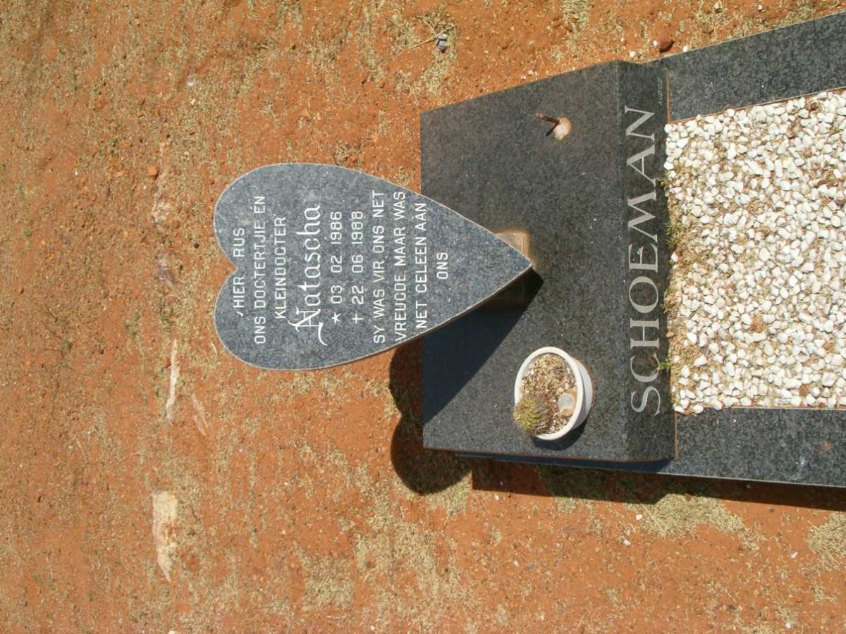 SCHOEMAN Natascha 1986-1988