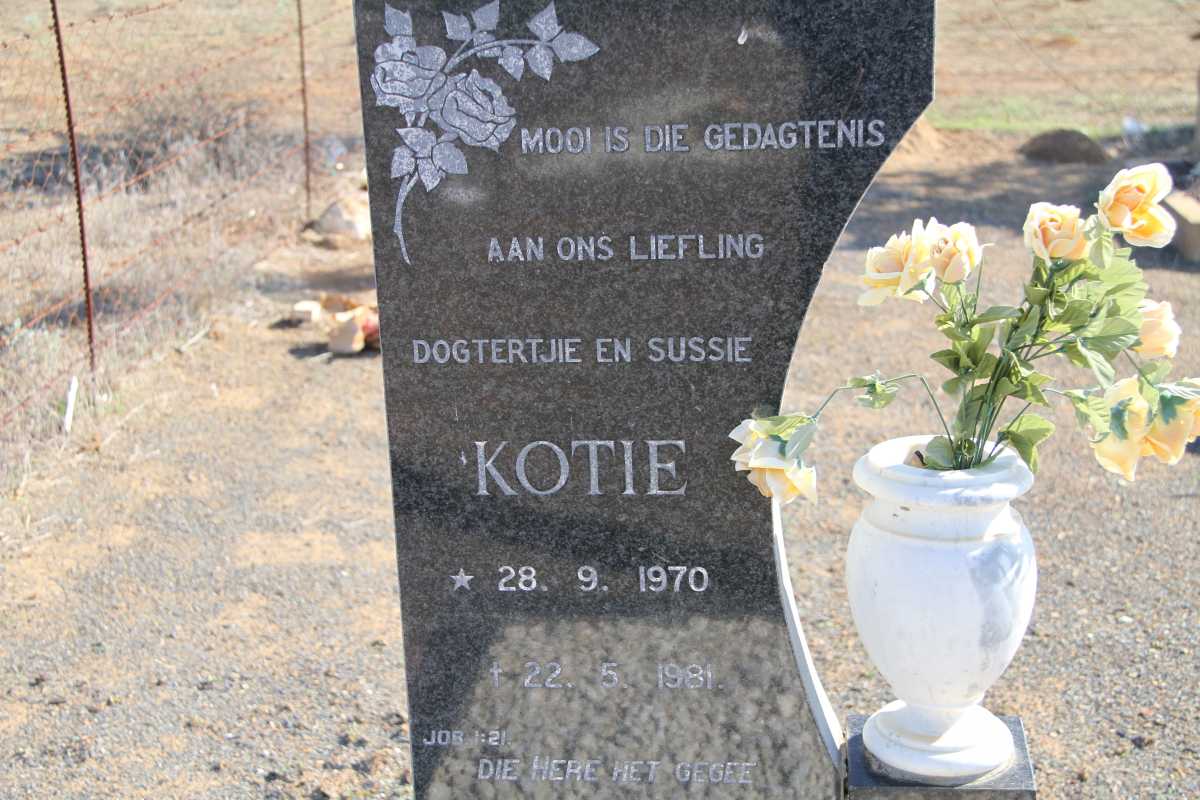 ? Kotie 1970-1981