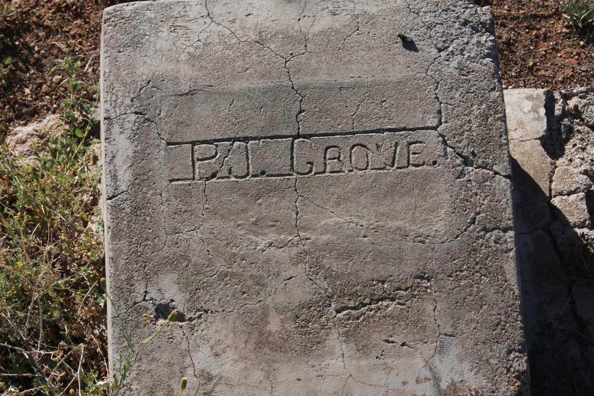 GROVE P.J.