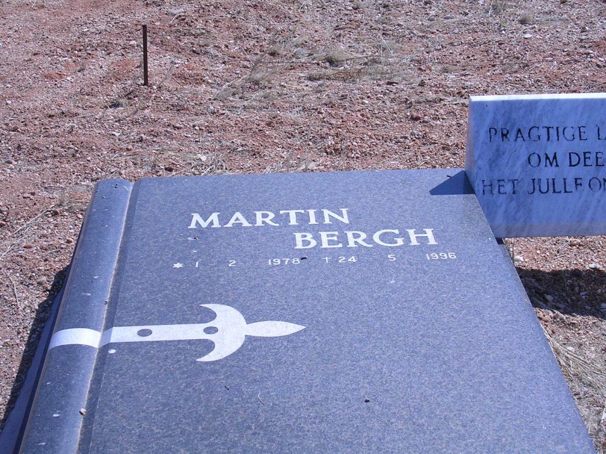 BERGH Martin 1978-1996