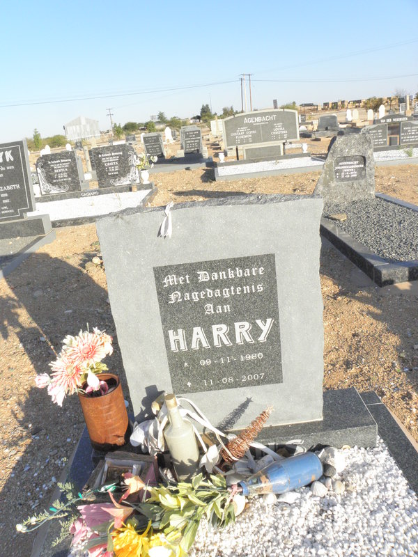 ? Harry 1980-2007