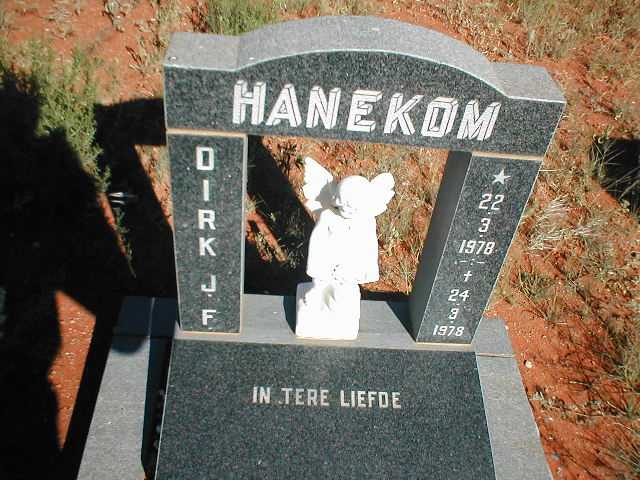 HANEKOM Dirk J. F. 1978-1978