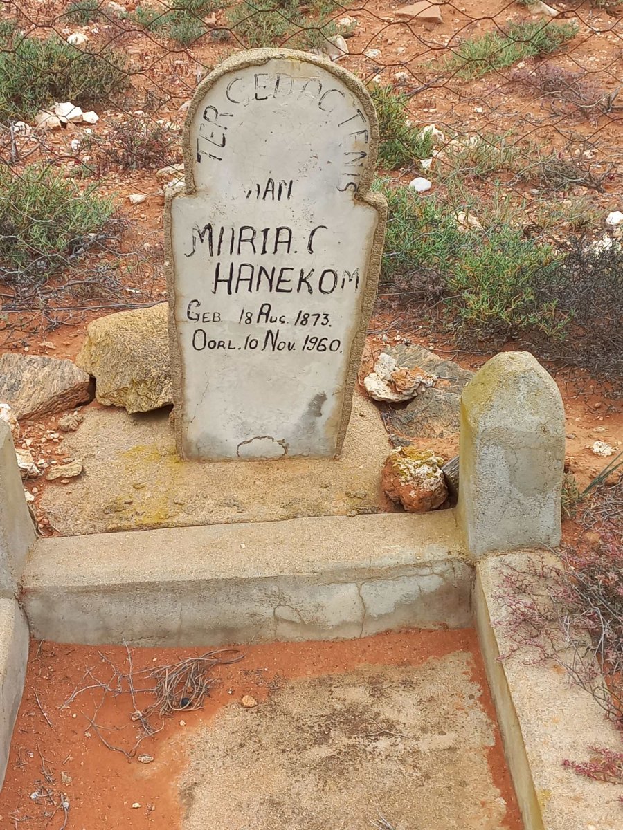 HANEKOM Maria C. 1873-1960
