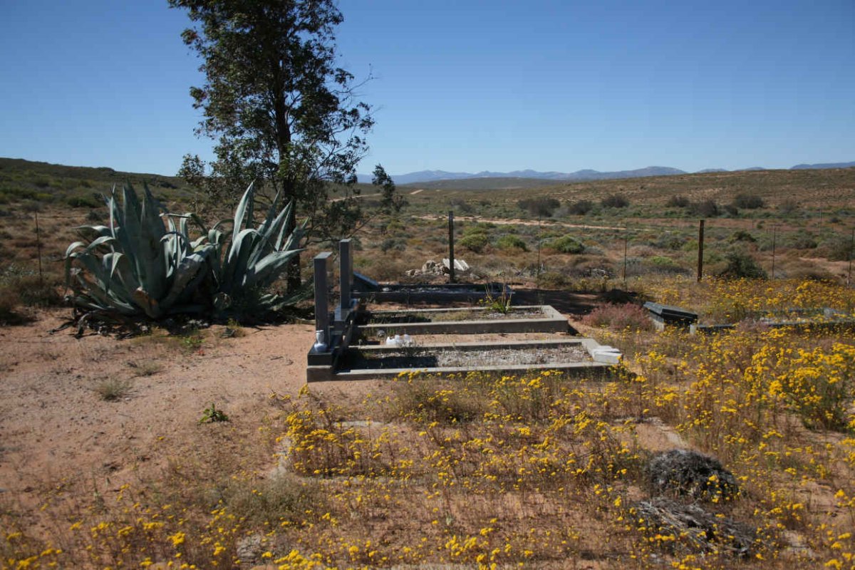 2. Overview