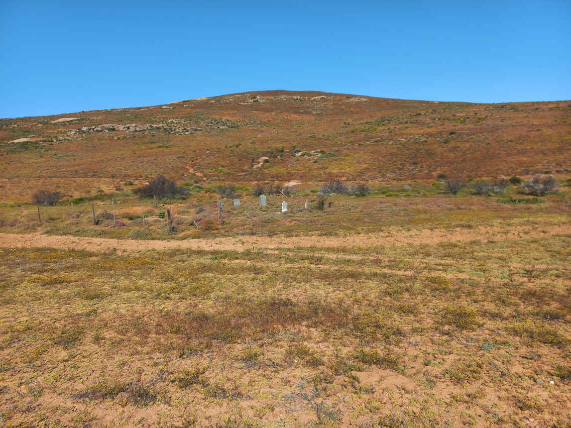 2. Overview / Oorsig