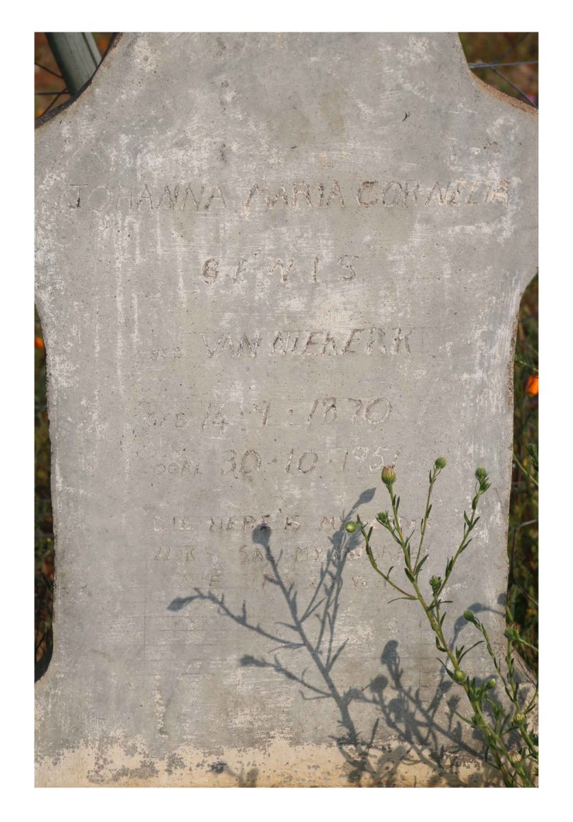 GENIS Johanna Maria Cornelia nee VAN NIEKERK 1870-1951