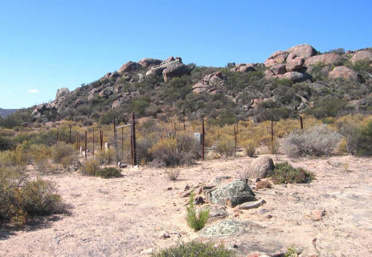 2. Overview
